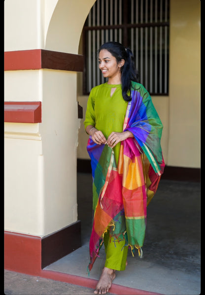Parrot green suit set