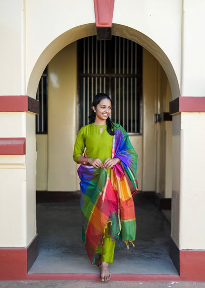 Parrot green suit set
