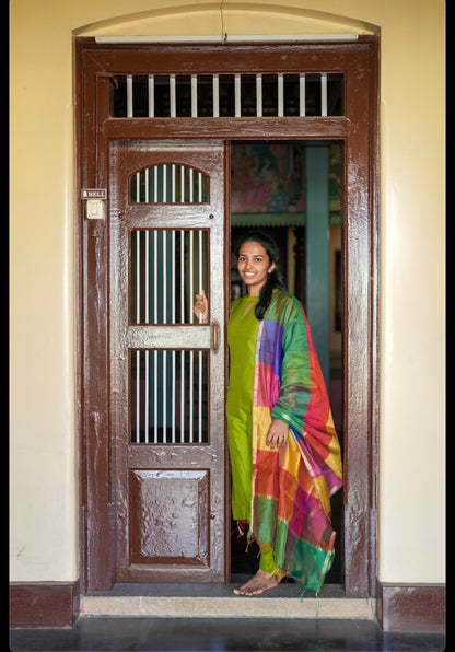 Parrot green suit set